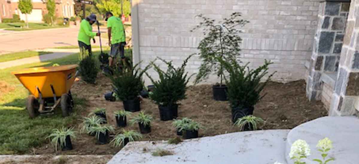 Anderson Landscape Installation