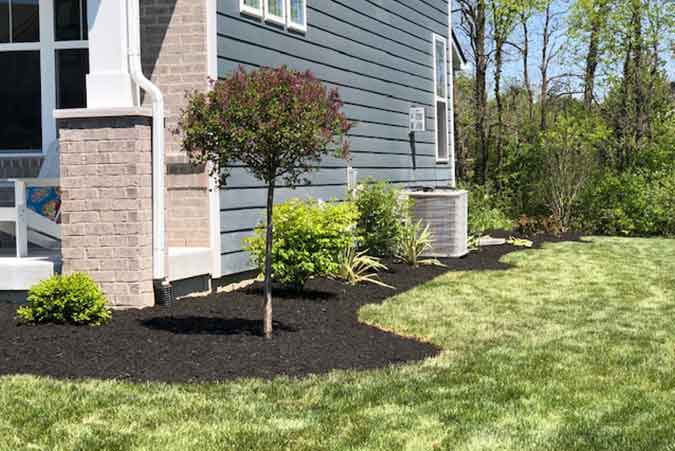Indianapolis landscaping